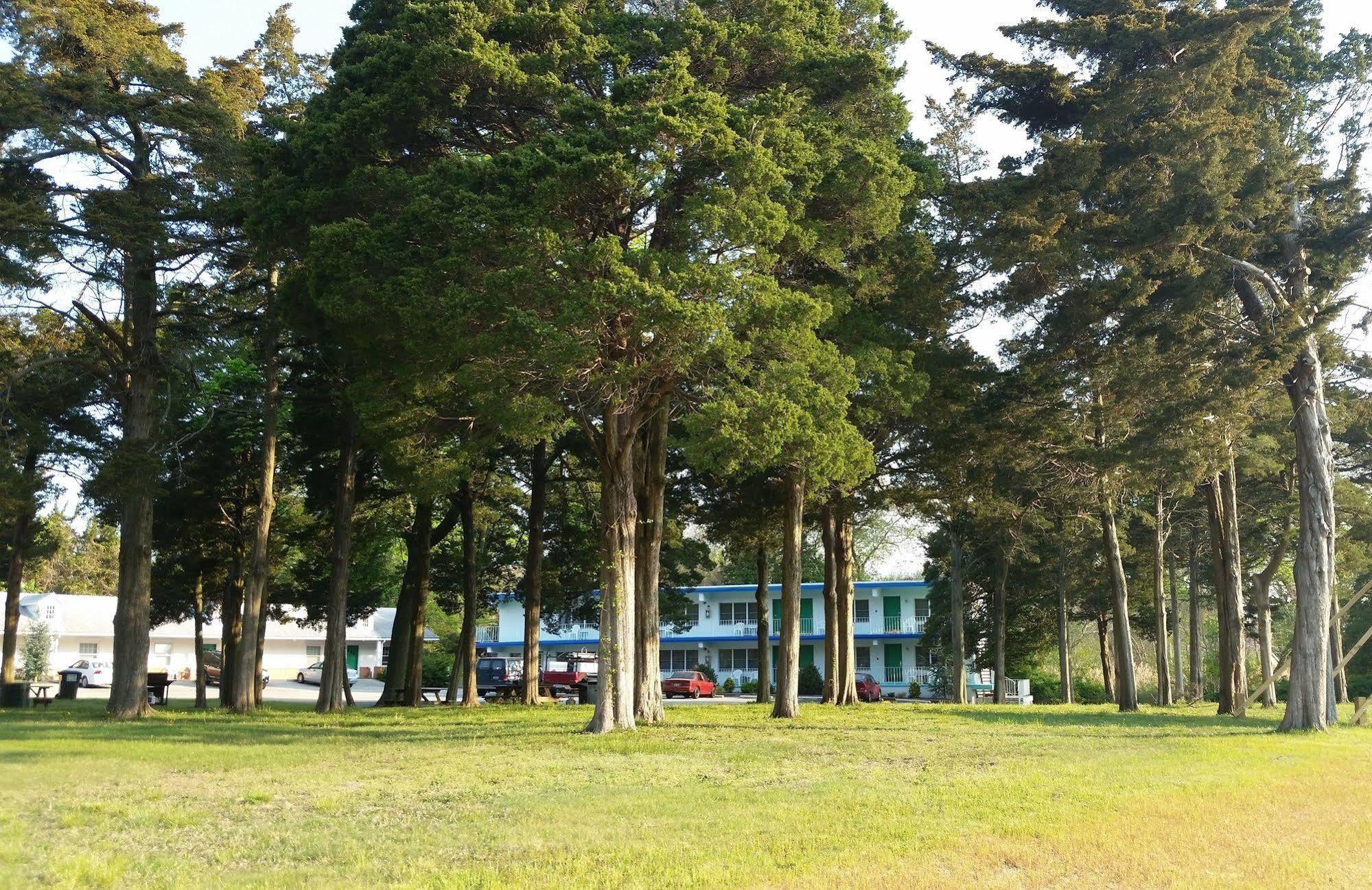 Hyland Motor Inn Кейп Мей Корт Хаус Екстериор снимка